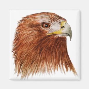 Golden Eagle 2011 Magnet