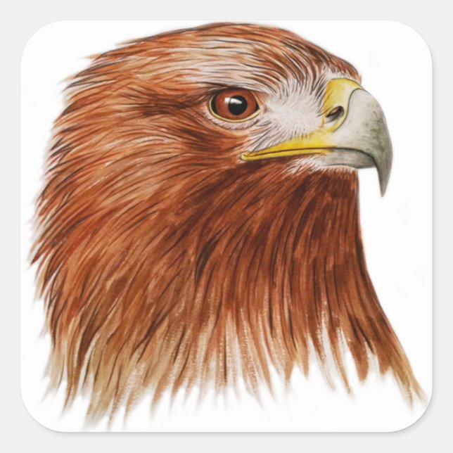 Golden Eagle 2011 Square Sticker (Front)
