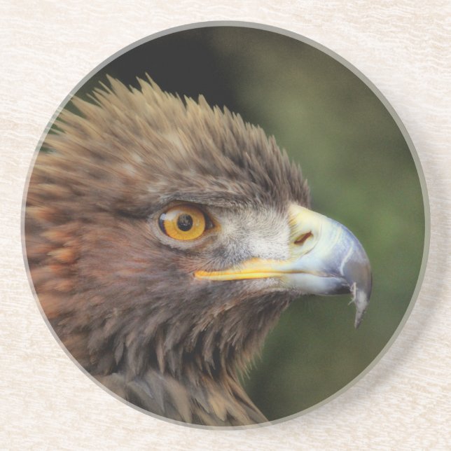golden eagle coaster (Front)