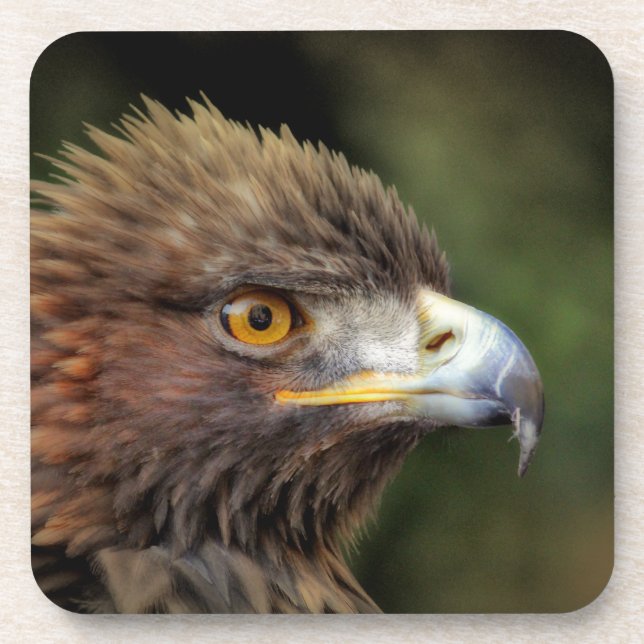 golden eagle coaster (Front)