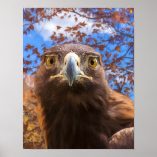 Golden Eagle “GOLDEN EYES” Poster