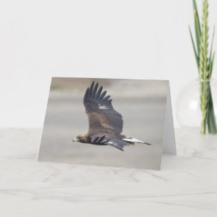 Golden Eagle Happy Birthday Card