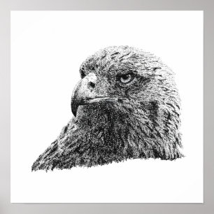 Golden Eagle Majestic Wildlife Bird Artwork Design Poster