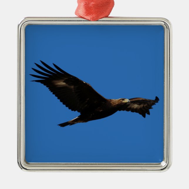 Golden Eagle Metal Ornament (Front)