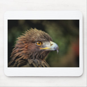 golden eagle mouse pad
