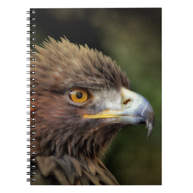 golden eagle notebook (Front)