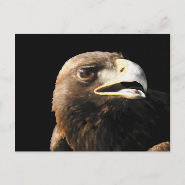 Golden Eagle Portrait Postcard (Front)