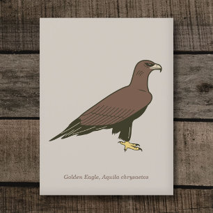 Golden Eagle Postcard