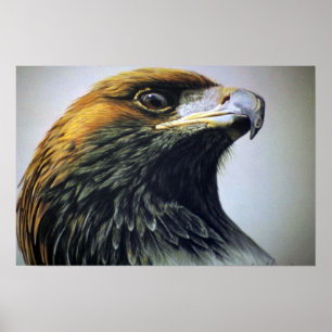 Golden Eagle Poster