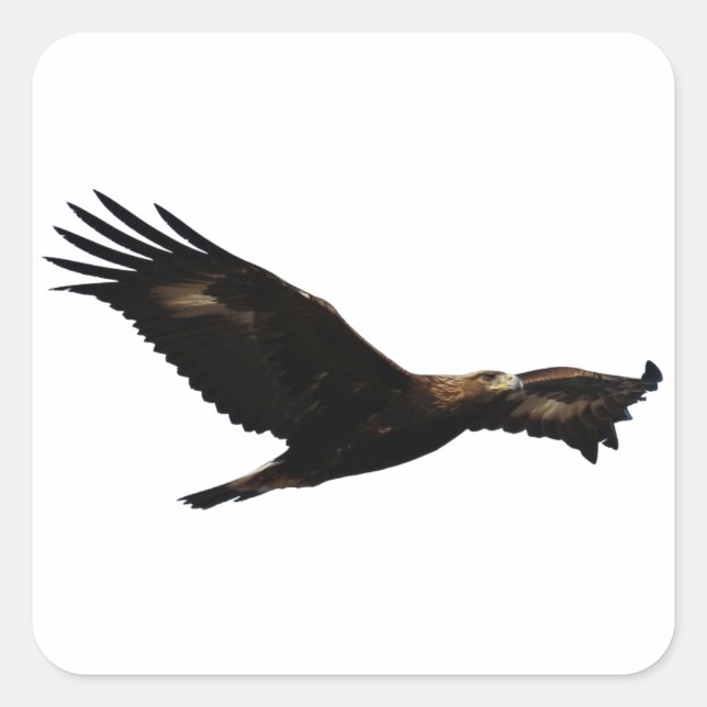 Golden Eagle Square Sticker (Front)