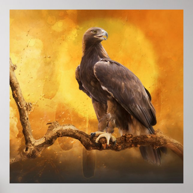 Golden Eagle THE GOLDEN ONE Poster (Front)