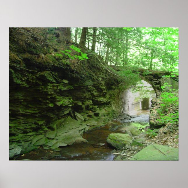 Golden Eagle Trail Poster (Front)