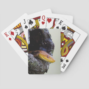 Golden Elegance: Yellow Rat Snake Playing Cards