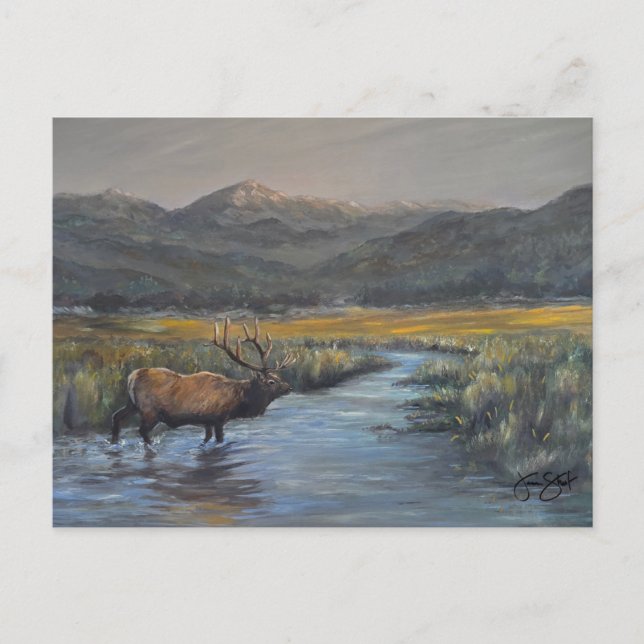 Golden Elk Postcard (Front)