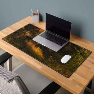 Golden European larch in autumn colours Desk Mat