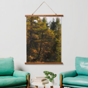 Golden European larch in autumn colours Hanging Tapestry