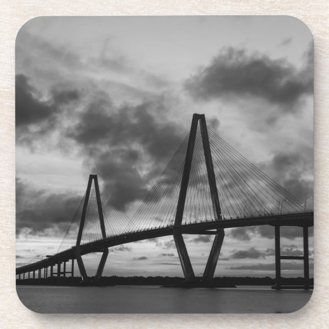 Golden Evening At Arthur Ravenel Grayscale Coaster (Front)