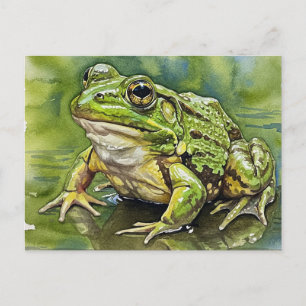 Golden-Eyed Frog Postcard for Postcrossing