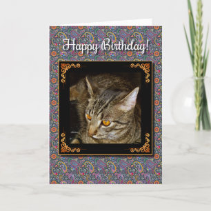 Golden Eyes Birthday Card