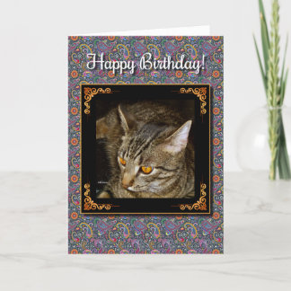 Golden Eyes Birthday Card