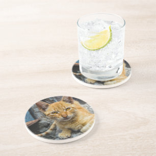 Golden Eyes Coaster