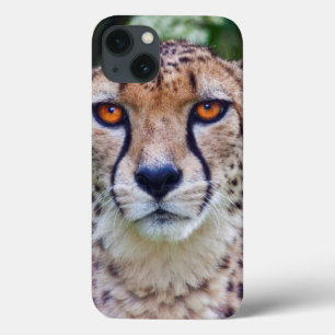 Golden Eyes iPad Case