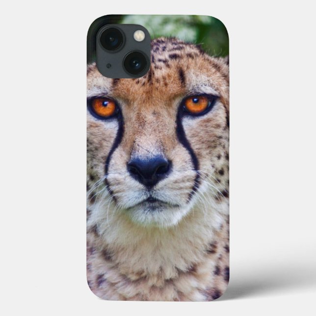 Golden Eyes iPad Case (Back)