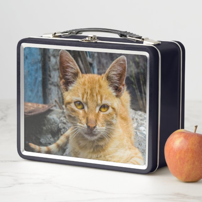 Golden Eyes Metal Lunch Box (In Situ)