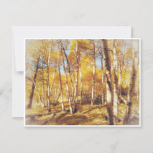 Golden Fall Foliage Forest Landscape Postcard
