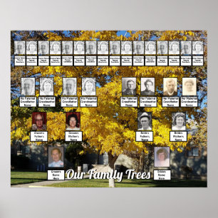 Golden Fall Leaf Tree Photo 2 Family Trees Poster