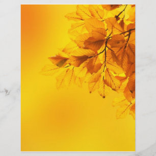 Golden Fall Leaves Background Flyer