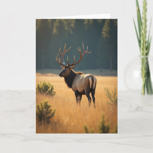 Golden Fathers Day Stag Card