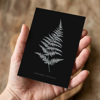 Golden Fern Frond, Gymnogramma Chrysophylla Card