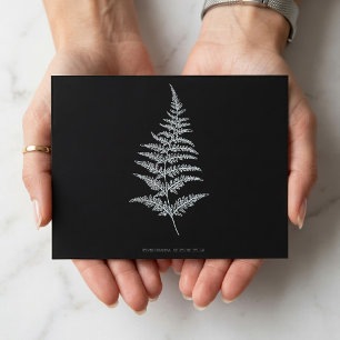 Golden Fern Frond, Gymnogramma Chrysophylla Postcard