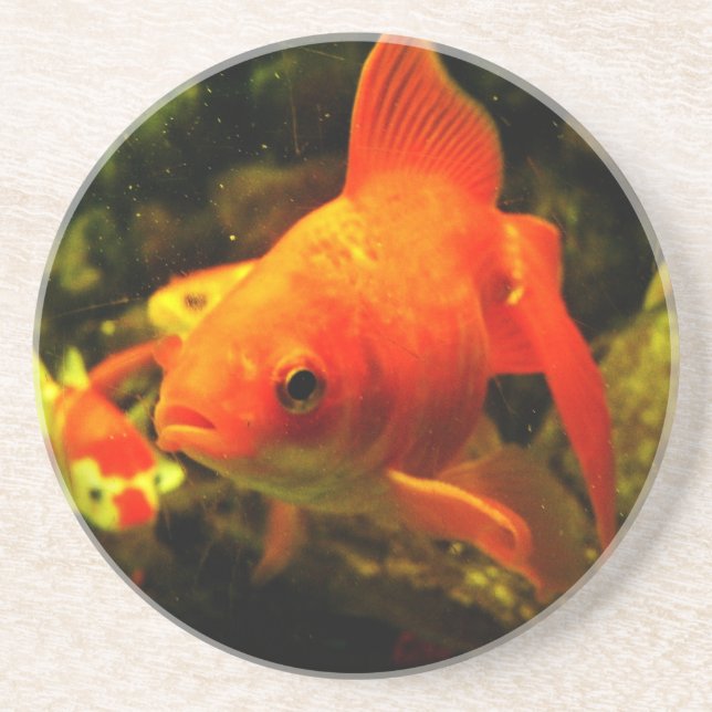 Golden fish coaster (Front)