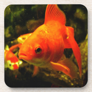 Golden fish coaster