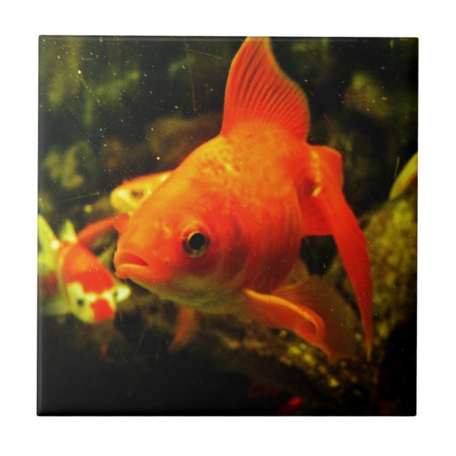 Golden fish tile (Front)