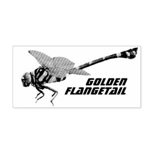 Golden Flangetail Rubber Stamp