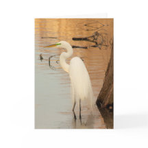 Golden Folded Greeting Card