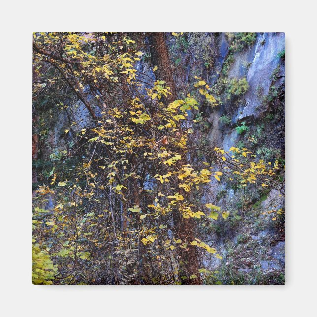Golden Foliage Magnet (Front)