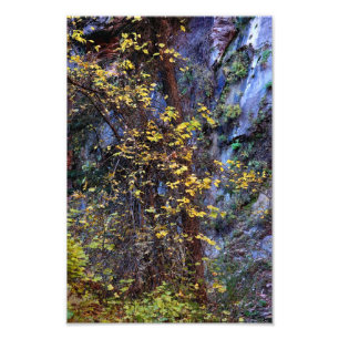 Golden foliage photo print