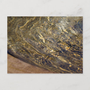 Golden Fountain Water 2 Postcard