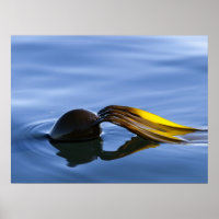 Golden Fronds - Poster