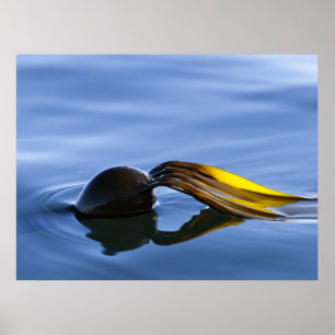 Golden Fronds - Poster