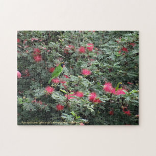 Golden-fronted Leafbirds Pink Flowers Photo Nature Jigsaw Puzzle