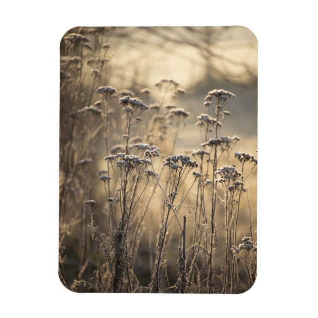 Golden Frosty Morning Flemish Countryside Magnet (Vertical)