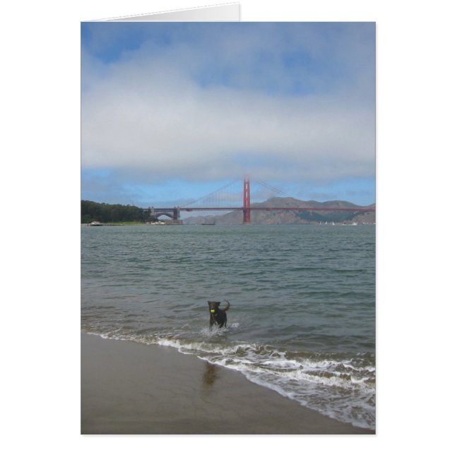 Golden Gate Bridge Jake (Front)