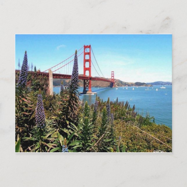 Golden Gate Bridge Postcard (Front)
