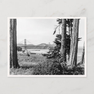 Golden Gate Bridge San Francisco Black & White Postcard