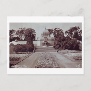 Golden Gate Park, San Francisco, California Postcard